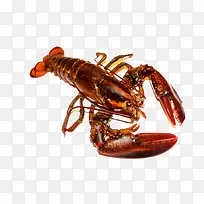 ��Ϻ-������