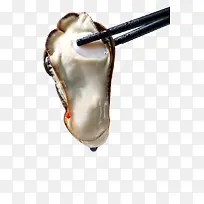 产品实物生鲜生蚝-空若网 产品实物生鲜生蚝-空若网