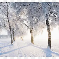 ���峡����Ӱ��ľ�ϳ�-������