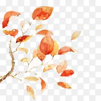 彩绘黄叶树枝图片-空若网 彩绘黄叶树枝图片-空若网