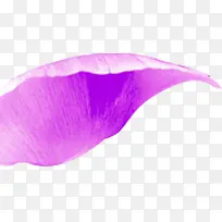 创意海报手绘花朵-空若网 创意海报手绘花朵-空若网