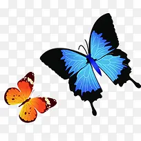 彩绘可爱唯美蝴蝶-空若网 彩绘可爱唯美蝴蝶-空若网