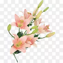 切花设计花束-礼来-空若网 切花设计花束-礼来-空若网