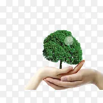 公益广告小树-空若网 公益广告小树-空若网