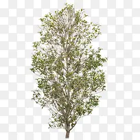 合成创意设计造型摄影-空若网 合成创意设计造型摄影-空若网