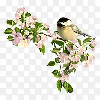 创意合成效果摄影小哦过小鸟-空若网 创意合成效果摄影小哦过小鸟-空若网