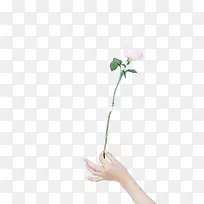 手拿花-空若网 手拿花-空若网