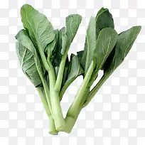 小白菜-空若网 小白菜-空若网