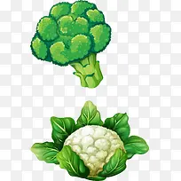 ʸ���ֻ��߲�-������