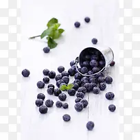 ��ɫˮ����ݮ��Ҷ-������