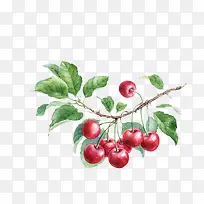 �ֻ�ӣ��-������