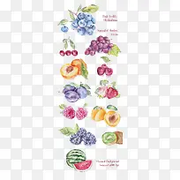 手绘水果-空若网 手绘水果-空若网