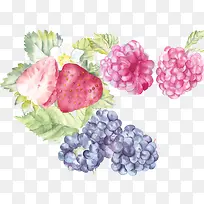水彩水果手绘-空若网 水彩水果手绘-空若网