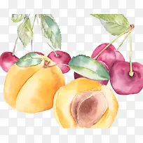 水彩水果手绘-空若网 水彩水果手绘-空若网