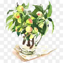 手绘水果-空若网 手绘水果-空若网