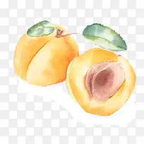 水彩桃子-空若网 水彩桃子-空若网