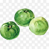 手绘香肉果-空若网 手绘香肉果-空若网