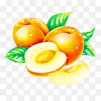 杏-空若网 杏-空若网