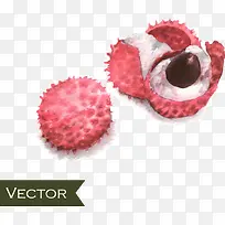 手绘荔枝-空若网 手绘荔枝-空若网