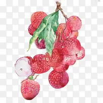 �ֻ�廭��֦-������