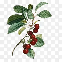 ������-������