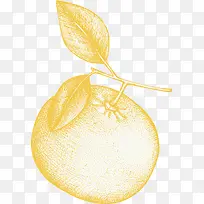 手绘橘子-空若网 手绘橘子-空若网