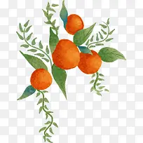 春天手绘黄色水果-空若网 春天手绘黄色水果-空若网