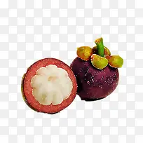 山竹-空若网 山竹-空若网