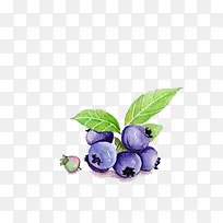 水果手绘-空若网 水果手绘-空若网