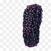 手绘高清紫色水果-空若网 手绘高清紫色水果-空若网