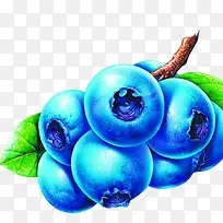 手绘卡通蓝莓水果-空若网 手绘卡通蓝莓水果-空若网
