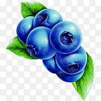 蓝莓新鲜水果手绘-空若网 蓝莓新鲜水果手绘-空若网