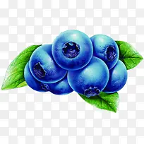 �ֻ���ݮ�ֻ�ˮ��-������