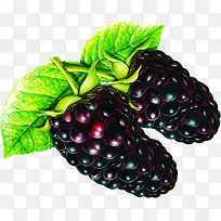 水果高清手绘美味-空若网 水果高清手绘美味-空若网