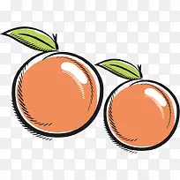 水果李子png矢量素材-空若网 水果李子png矢量素材-空若网