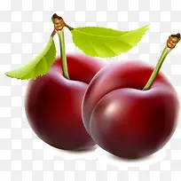 李子水果png矢量素材-空若网 李子水果png矢量素材-空若网