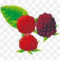 桑葚png矢量素材-空若网 桑葚png矢量素材-空若网