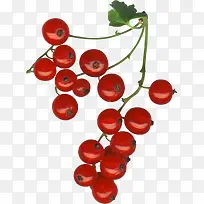 红色山楂水果素材-空若网 红色山楂水果素材-空若网