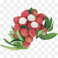 水果素材-空若网 水果素材-空若网