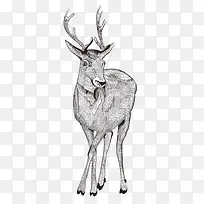 �ֻ���¹-������