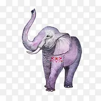 �ɰ��ֻ����-������