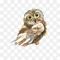 ʸ��èͷӥ-������