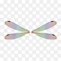 手绘彩色动物翅膀-空若网 手绘彩色动物翅膀-空若网