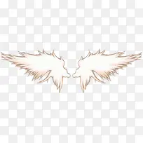 翅膀装饰背景-空若网 翅膀装饰背景-空若网
