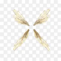 翅膀透明装饰-空若网 翅膀透明装饰-空若网