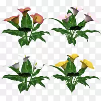 插花艺术-植物-空若网 插花艺术-植物-空若网