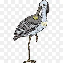 ��ͨ�ֻ��-������