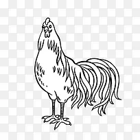 手绘 卡通 鸡-空若网 手绘 卡通 鸡-空若网