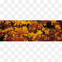 唯美背景摄影风景图-空若网 唯美背景摄影风景图-空若网