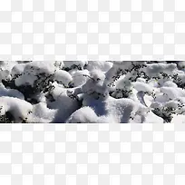 唯美背景摄影风景图-空若网 唯美背景摄影风景图-空若网